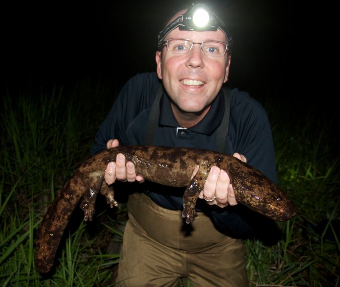 Rob with his dream animal: a wild Japanese Giant Salamander